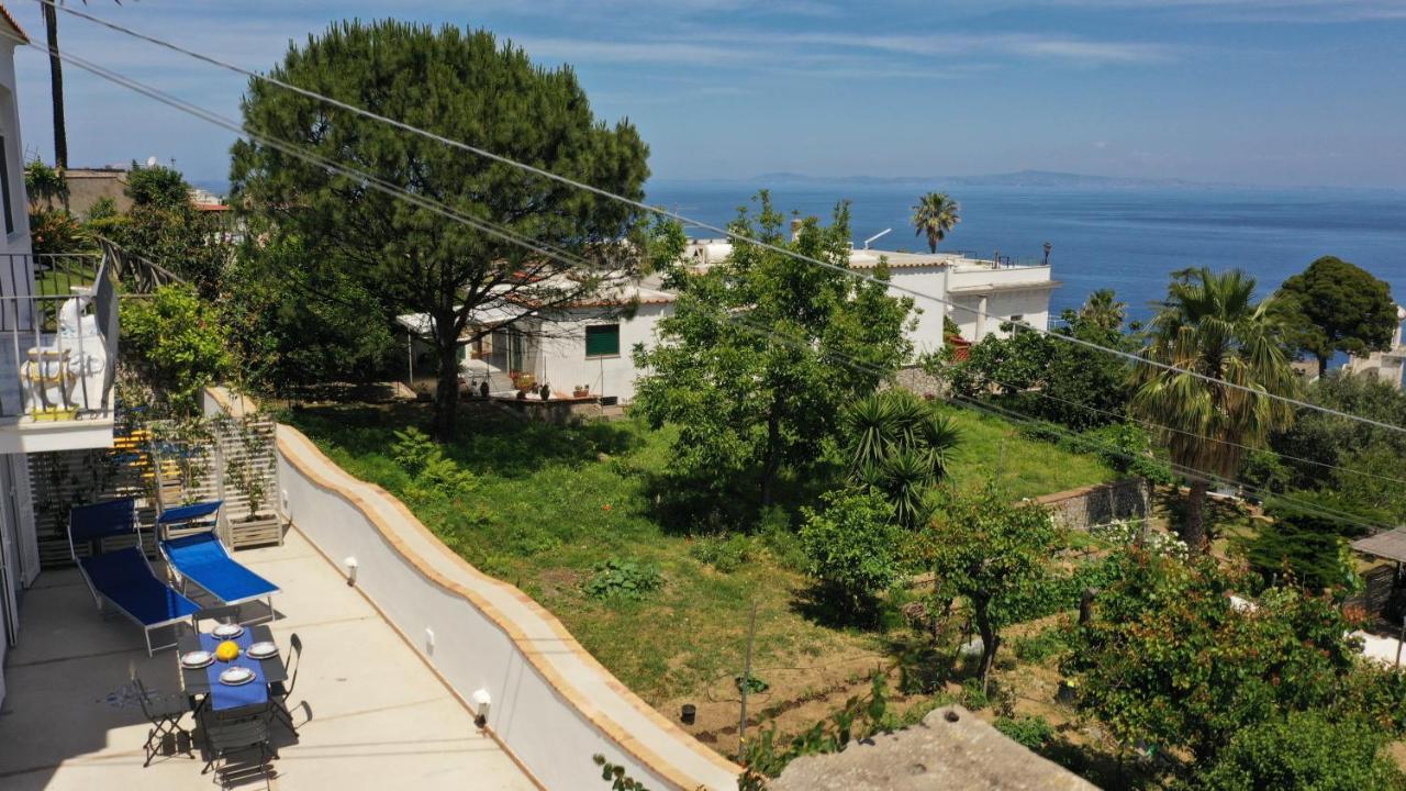 My Seaview Appartement